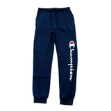 Vintage Champion Navy Sweatpants - Women's Small